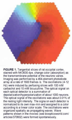 Bio Opitics Vibration Isolation