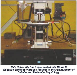 Interferometer Vibration Isolation Platform