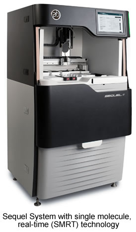 Sequel II Senomic Sequencing Minus K Isolation SMRT