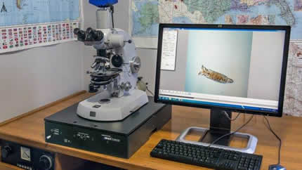 BM-8 Vibration Isolation Platform under Photomicrography Setup