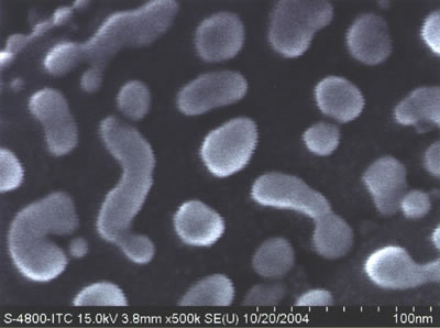 SEM Image with Minus K Vibration Isolation