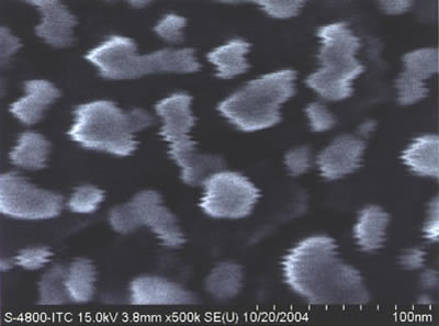 SEM Image Without Minus K Vibration Isolation